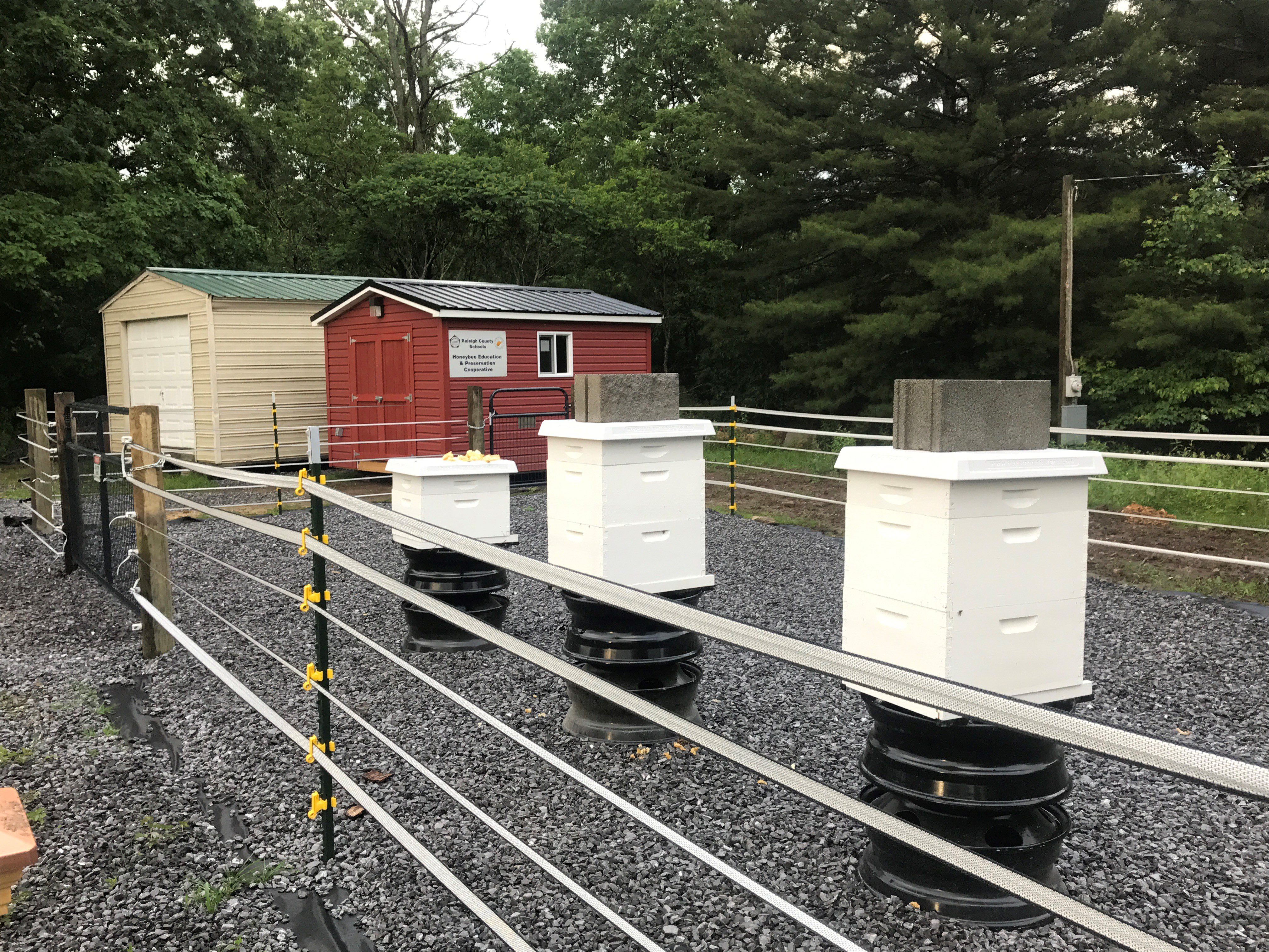 Apiary Yard With New Building – Raleigh County Beekeepers Cooperative ...