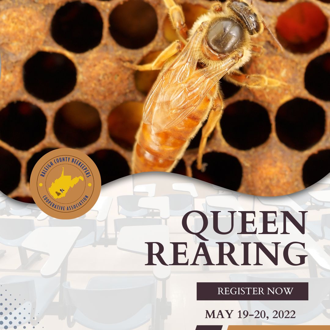 RCBCA Queen Rearing Course